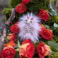 Image 2 of Lovely Bones Skellie 