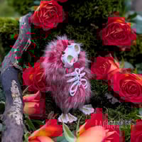 Image 3 of Ruby Ribcage Skellie 