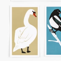 Image 5 of Bird Stickers