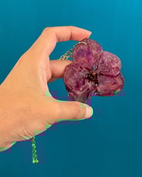 Image 1 of Ajustables | Collar orquídeas banda