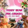 Teddy Bear pre-order