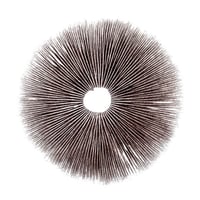 Golden Teacher Spore Prints