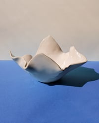 Image 1 of Fuente Organic Sabi 