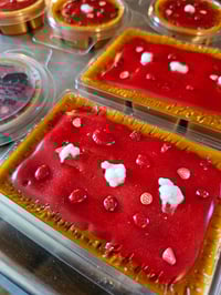 Image 12 of Strawberry Pie- A Rockytop Wax Works exclusive custom houseblend fragrance 