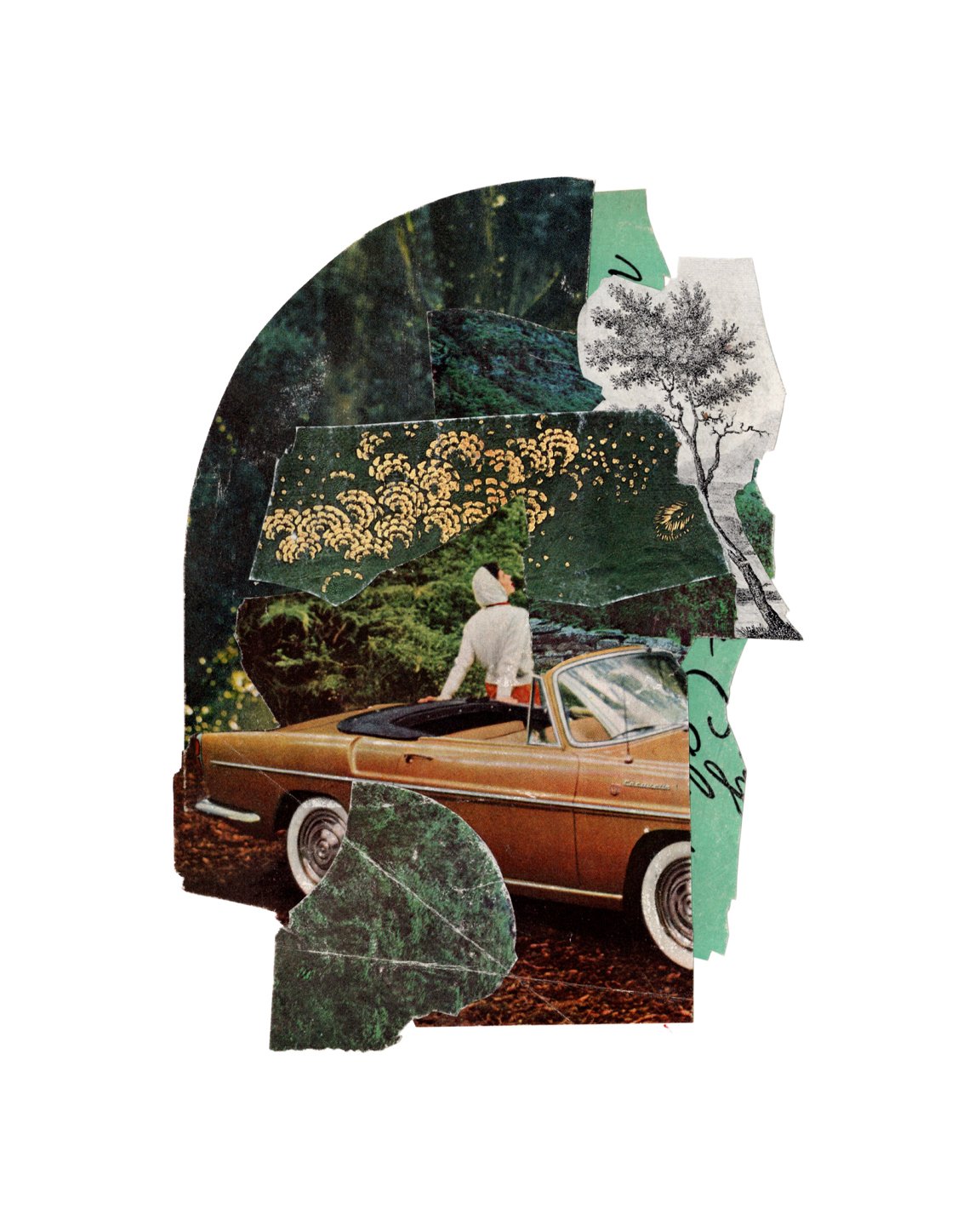 arborary [original collage, februllage 2025]