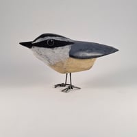 Image 1 of Nuthatch