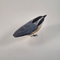 Image 3 of Nuthatch