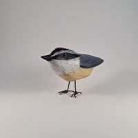 Image 2 of Nuthatch