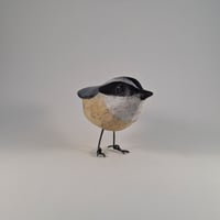 Image 4 of Nuthatch