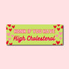HONK 4 HIGH CHOLESTEROL BUMPER STICKER