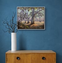 Image 2 of Gums Along The Creek Bed, Flinders Ranges