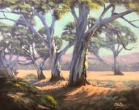 Image 1 of Gums Along The Creek Bed, Flinders Ranges