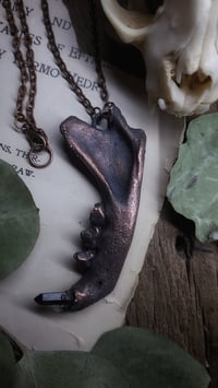 Image 1 of Cat Jawbone and Crystal Tooth Amulet