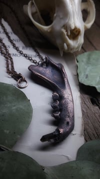 Image 3 of Cat Jawbone and Crystal Tooth Amulet
