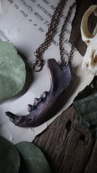 Image 4 of Cat Jawbone and Crystal Tooth Amulet