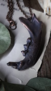 Image 2 of Cat Jawbone and Crystal Tooth Amulet