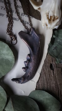 Image 5 of Cat Jawbone and Crystal Tooth Amulet