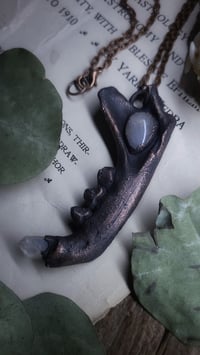 Image 1 of Moonstone Cat Jawbone Aura Quartz Amulet
