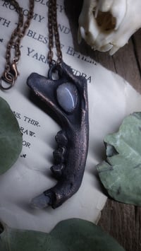 Image 5 of Moonstone Cat Jawbone Aura Quartz Amulet