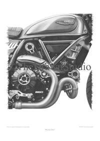 'Mucky Duc!’  Art Poster Print