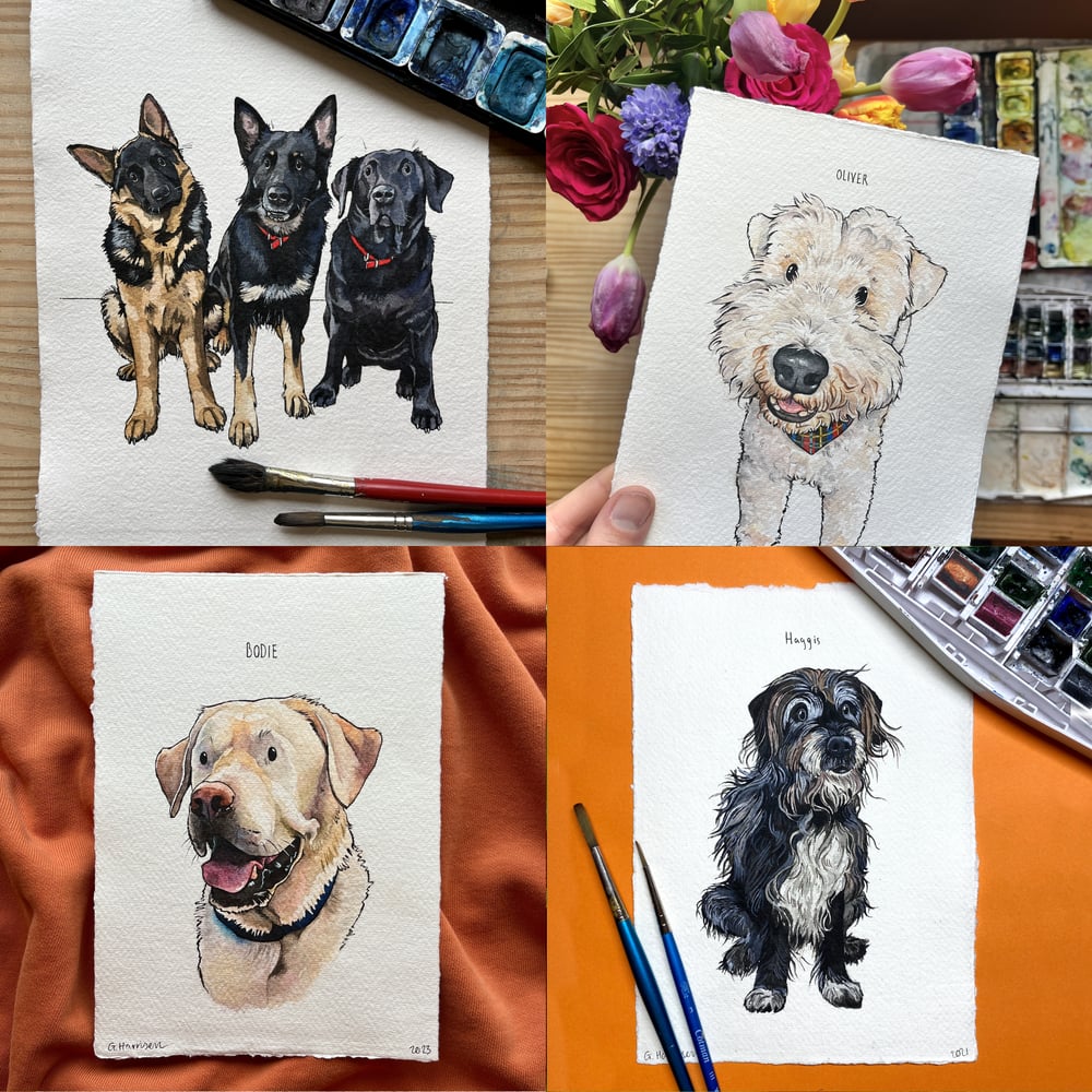 Image of bespoke pet portraits