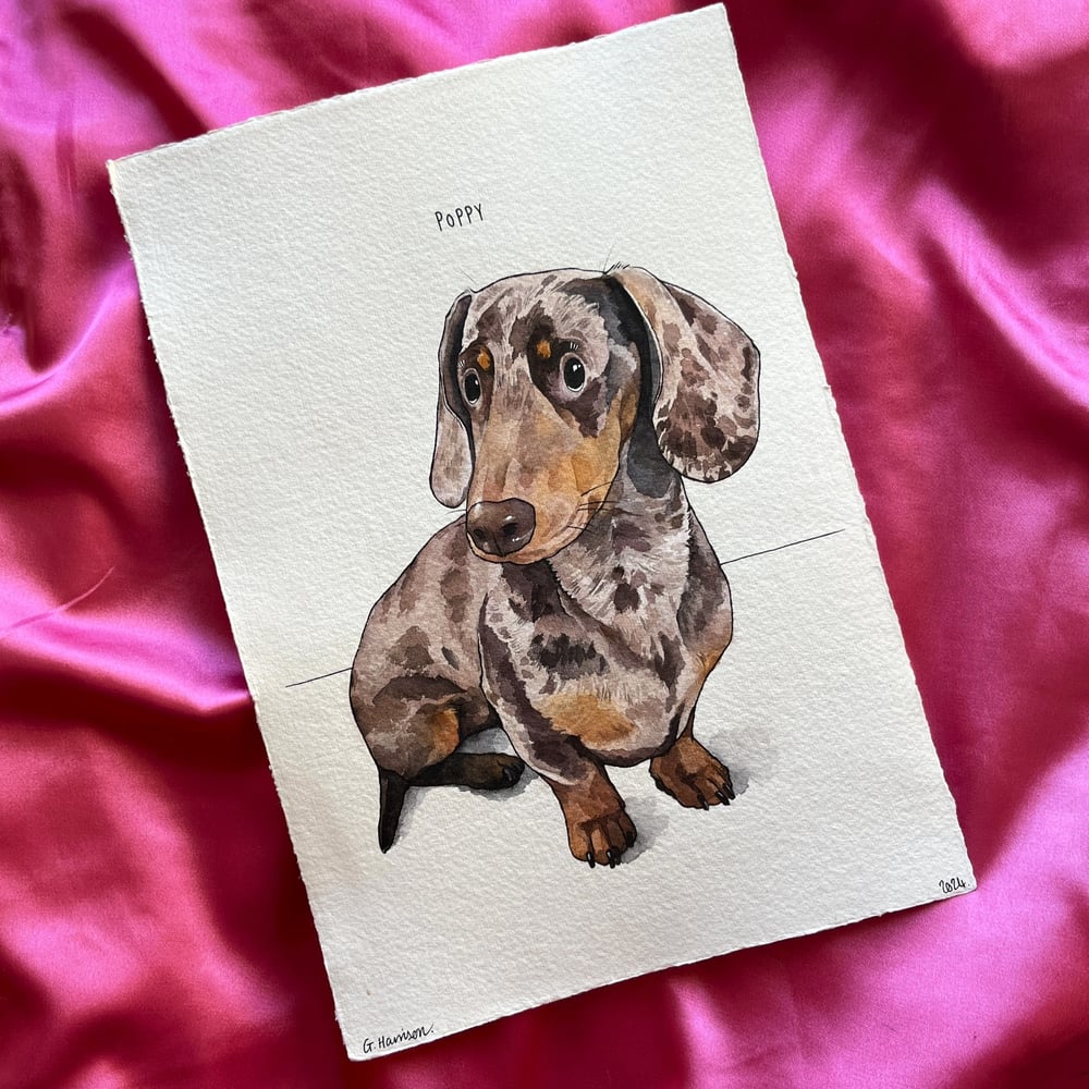 Image of bespoke pet portraits