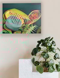 Image 2 of Evolution