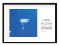 Image 1 of Bestiaire Imaginaire - Cumulus