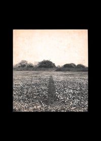 Image 1 of ARTE POVERA - BY GERMANO CELANT 