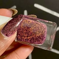 Image 21 of Boysenberry