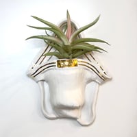 Image 1 of Wall-Hanging Used Jockstrap Planter with 22Kt Gold