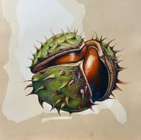 Chestnut