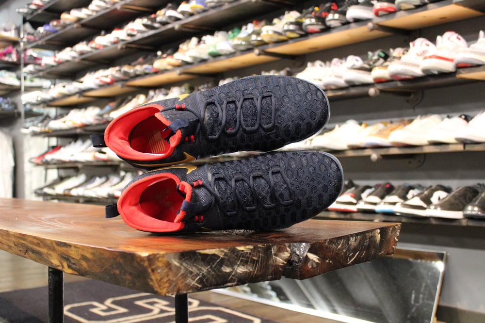 Zoom KD IX (9) LMTD "Gold Medal"