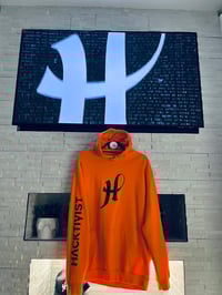 Image 1 of Hazardous waste hoodie ☢️ 