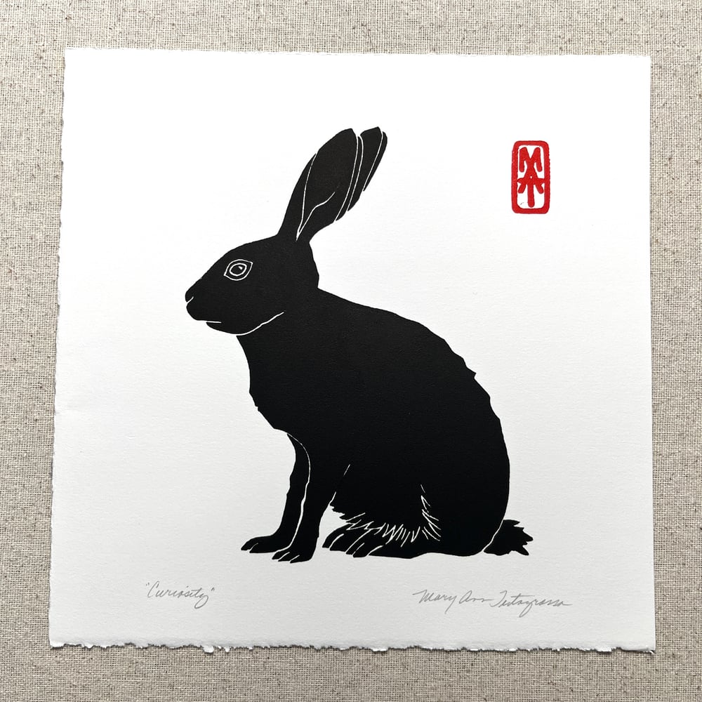 Image of SECONDS SALE - Curiosity #5