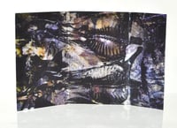 Image 3 of PHARMACIST - "Flourishing Extremities On Unspoiled Mental Grounds" cassette
