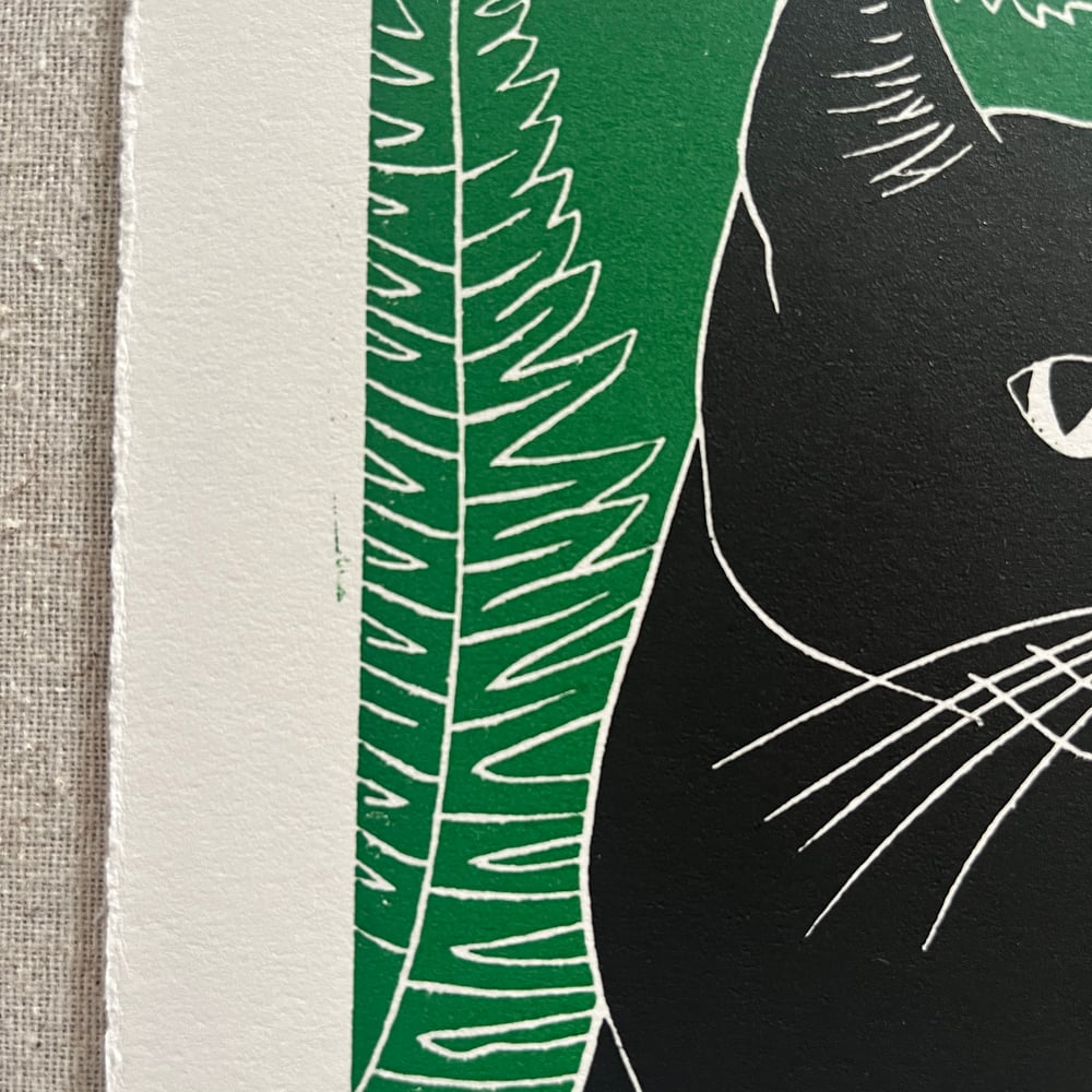 Image of SECONDS SALE - Fern Cat #9