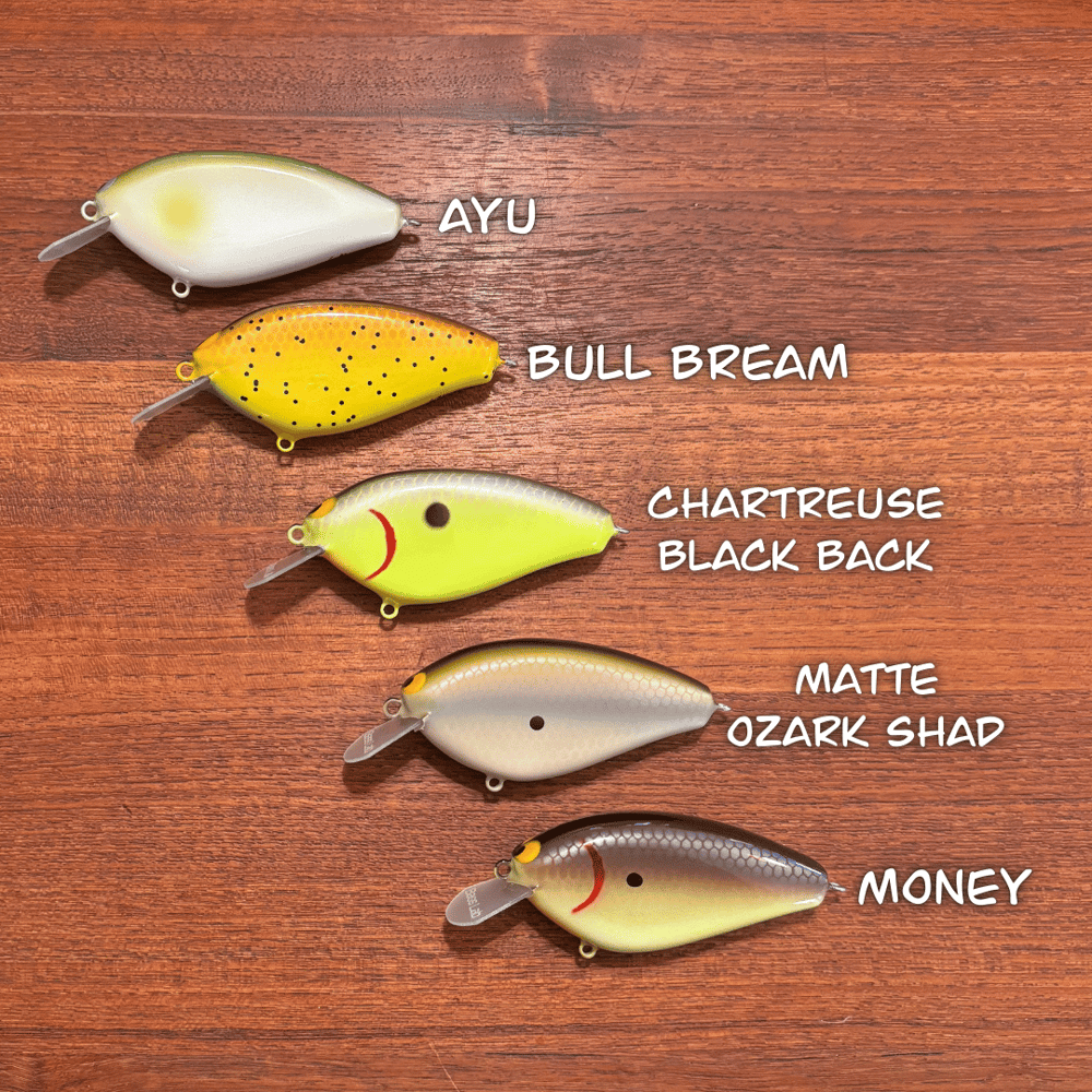 2025 Epic Shad - Image 2