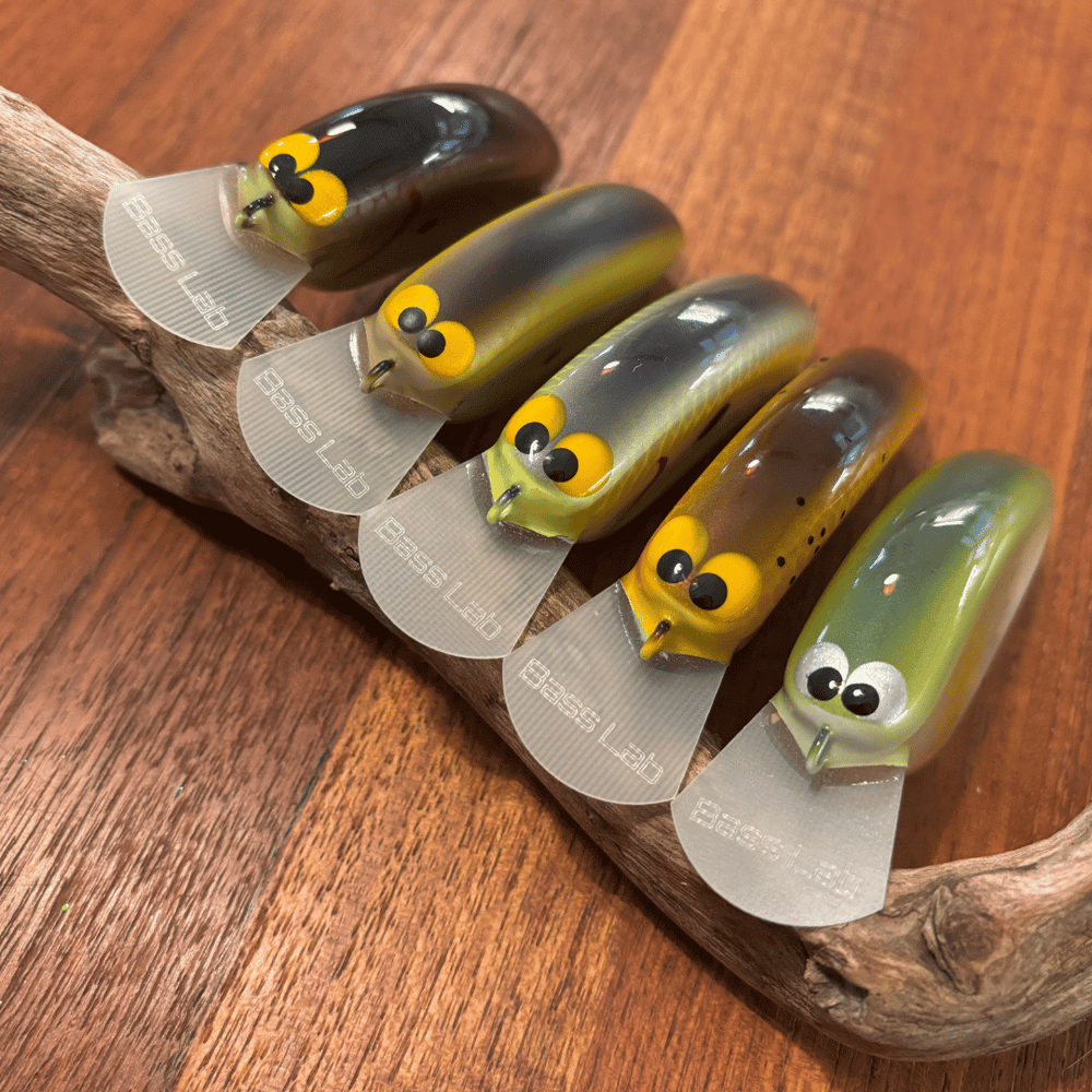 2025 Epic Shad - Image 5