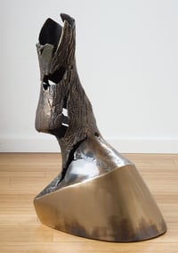 Image 1 of Hoof