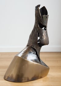 Image 2 of Hoof