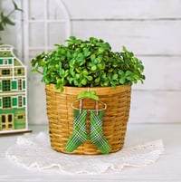 Image 1 of Leprechaun Socks