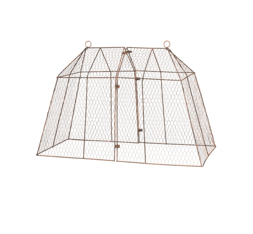 Image of Large Marquee Cloche 