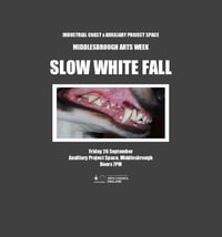 SLOW WHITE FALL - Live show (Middlesbrough Art Week)