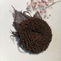 Image 2 of Brooch Aster terry brown