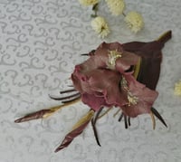Image 2 of Brooch-flower Iris bordeaux.