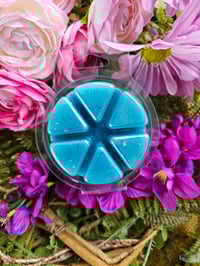 Image 10 of Melanie's Flower Shoppe - A Rockytop Wax Works exclusive custom houseblend fragrance 