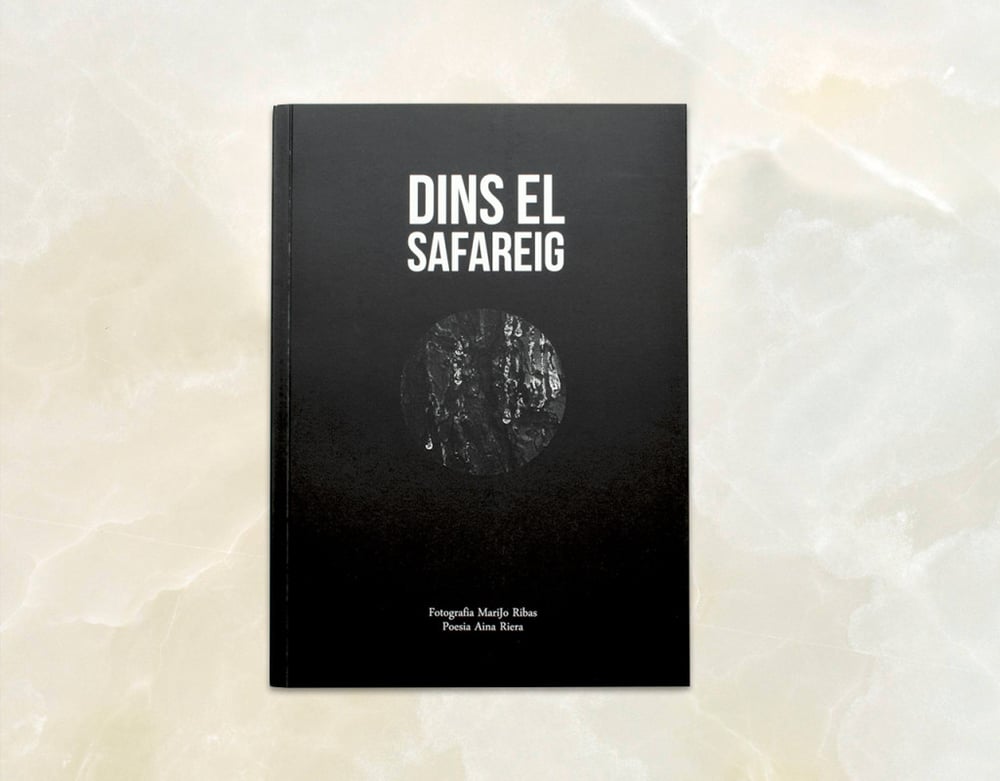 Image of Dins el safareig