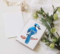 Greeting Card Blue Jay Watercolor