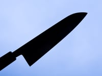 Image 4 of 193MM GYUTO #291